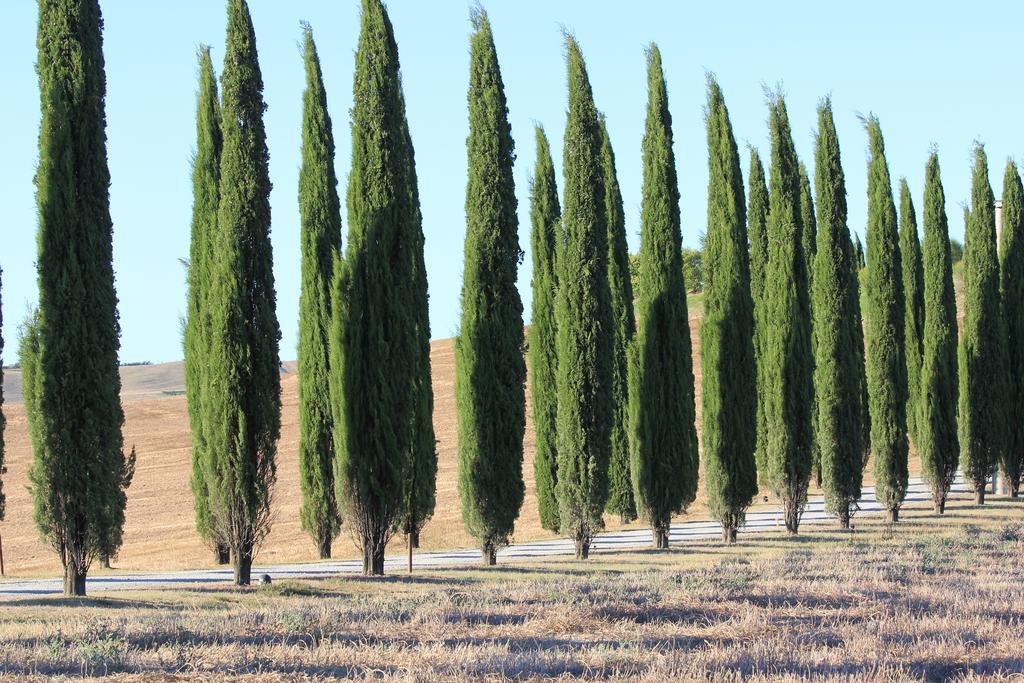 Ferienwohnung La Terrazza Sulla Val D'Orcia Castiglione dʼOrcia Exterior foto