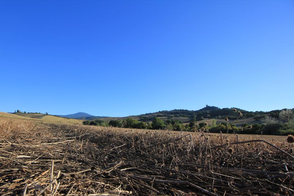 Ferienwohnung La Terrazza Sulla Val D'Orcia Castiglione dʼOrcia Exterior foto