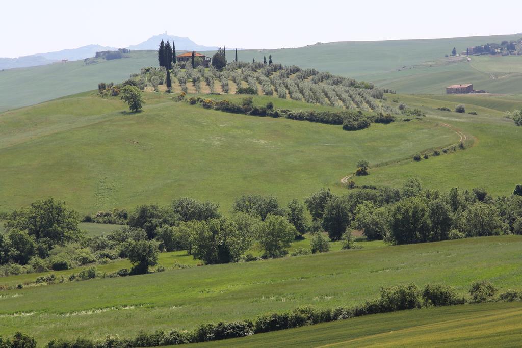 Ferienwohnung La Terrazza Sulla Val D'Orcia Castiglione dʼOrcia Exterior foto